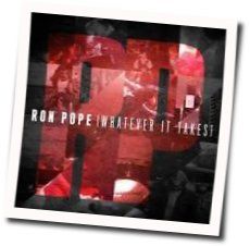 In My Bones Chords by Ron Pope