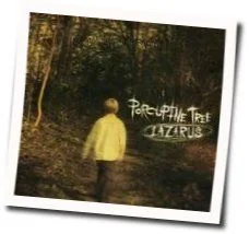 Pure Narcotic Chords by Porcupine Tree
