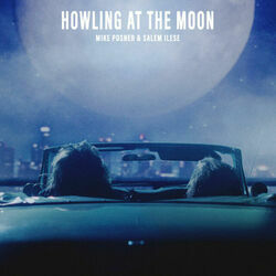 Howling At The Moon by Posner Mike