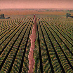 Ordinary Agony Bass Tab by Possible Humans