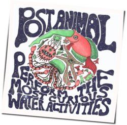 Hoverin All Night Chords by Post Animal
