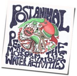 Special Moment Chords by Post Animal