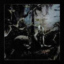 Five Six Tab by Pouya