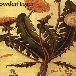 What Are You Waiting For Chords by Powderfinger