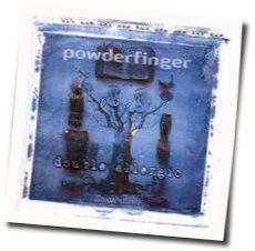 Lost And Running Chords by Powderfinger