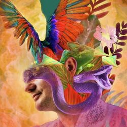 Calma E Tranquilidade by Praful