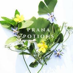 Glass Flower 유리꽃 Chords by Prana (유리꽃)