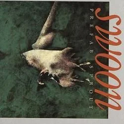I Never Play Basketball Now Bass Tab by Prefab Sprout