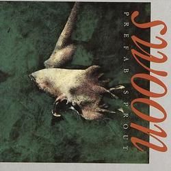 I Never Play Basketball Now Bass tabs by Prefab Sprout