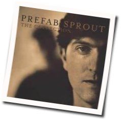 Lions In My Own Garden Chords by Prefab Sprout