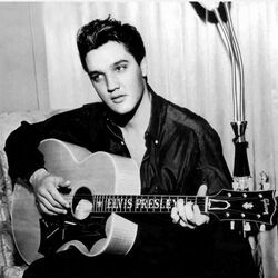 I Didn't Make It On Playing Guitar Chords by Elvis Presley