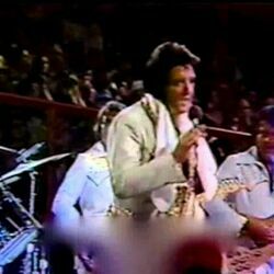 Let Me Chords by Elvis Presley