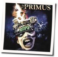 Antipop Tabs by Primus