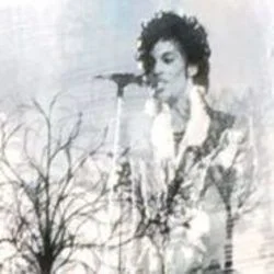 Last December Tab by Prince