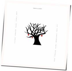 Whoami Chords by Prince Of Eden