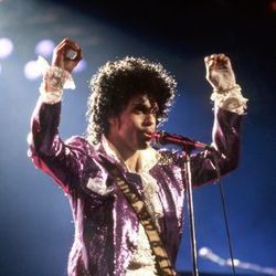 Born 2 Die Chords by Prince