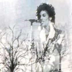 Last December Tabs by Prince