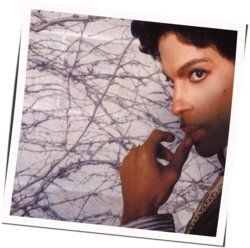 Musicology by Prince