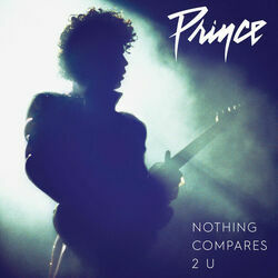 Nothing Compares 2 U by Prince