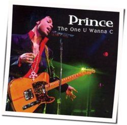 One U Wanna C Tabs by Prince