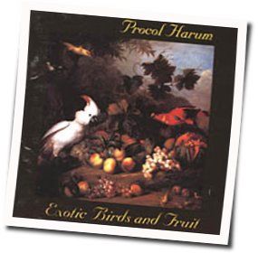 Memorial Drive Tab by Procol Harum