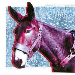 Tranquilizer Bass Tab by ProtoMartyr