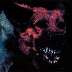 Trust Me Billy Tab by ProtoMartyr