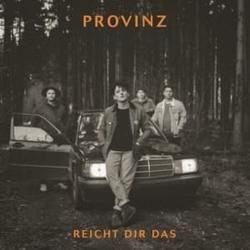 Was Uns High Macht Bass tabs by Provinz
