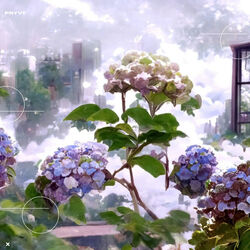 Blue Salvia Chords by PRYVT RYN