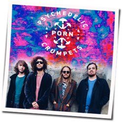 Keen For Kick Ons Chords by Psychedelic Porn Crumpets
