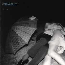 Shes Just A Phase Bass tabs by Puma Blue