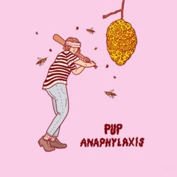 Anaphylaxis by PUP