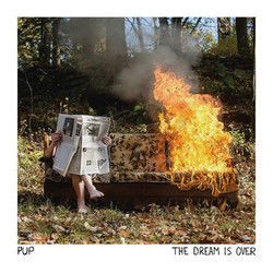 Can't Win Tabs by PUP