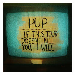 If This Tour Doesn't Kill You I Will by PUP