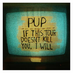 If This Tour Doesn't Kill You I Will Bass tabs by PUP
