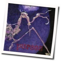 Rocking Horse Bass Tab by Purson