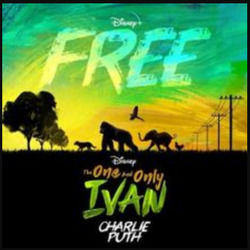 Free Chords by Charlie Puth
