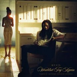 Wouldn't Try Again Chords by Quail P