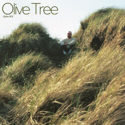 Olive Tree Tab by Quinn XCII