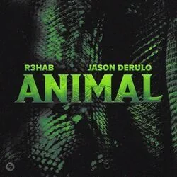 Animal Chords by R3HAB