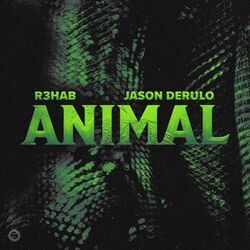 Animal Chords by R3HAB