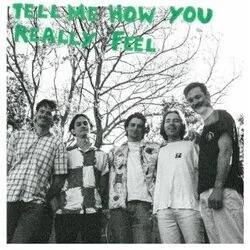 Tell Me How You Really Feel Chords by Ra Ra Viper