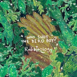 Who Shot The Bird Boy Chords by Rabbitology