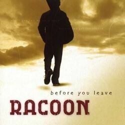 Clean Again by Racoon