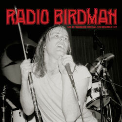 Crying Sun Chords by Radio Birdman