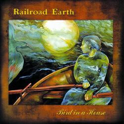 Bird In A House by Railroad Earth