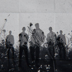 Neverbloom Chords by Rain City Drive
