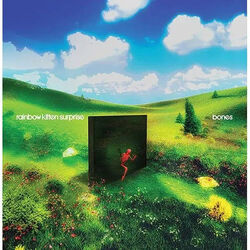 Rainbow Kitten Surprise