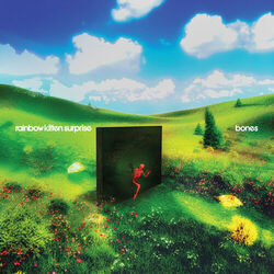 Rainbow Kitten Surprise