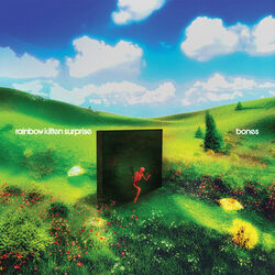 Stars by Rainbow Kitten Surprise